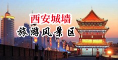 口述和黑人口交中国陕西-西安城墙旅游风景区